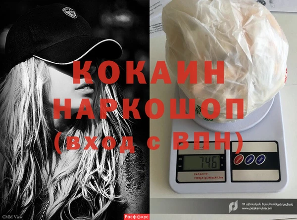 гашик Михайлов