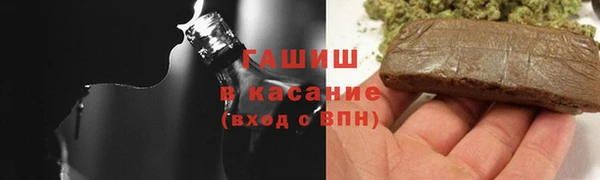гашик Михайлов