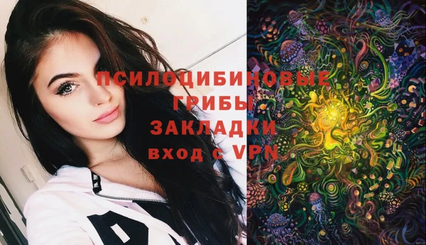 стаф Арсеньев