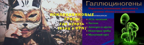 дмт Аркадак