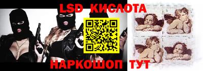 крисы Берёзовский