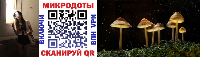 Псилоцибиновые грибы Psilocybe  Дзержинский 