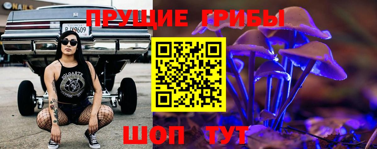 Гашиш Дзержинский