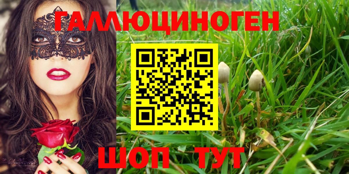 Галлюциногенные грибы GOLDEN TEACHER  Галлюциногенные грибы мухоморы  Дзержинский 