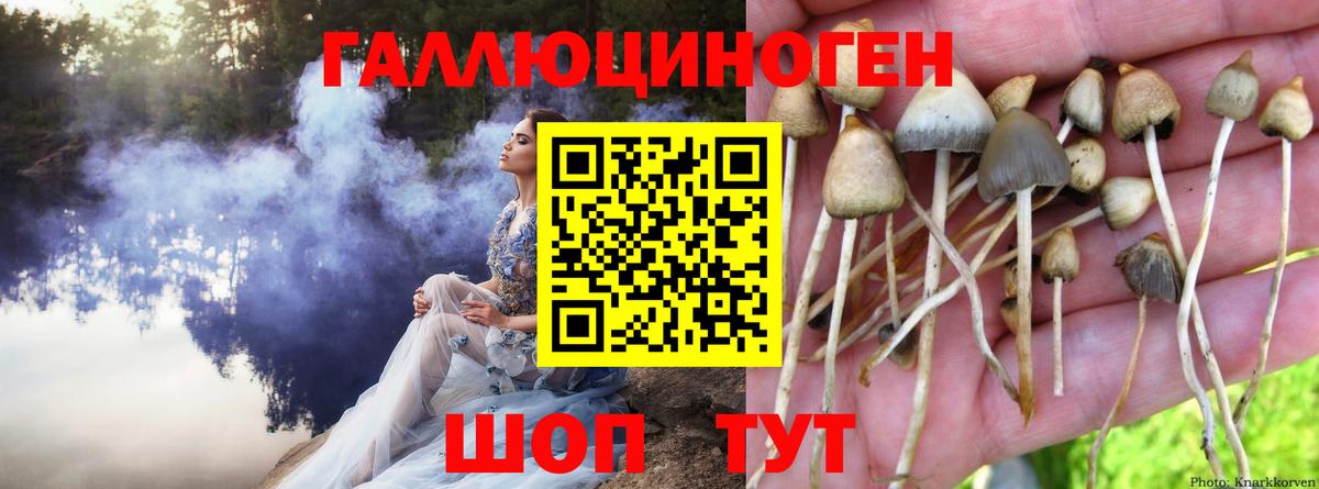 купить  цена  Галлюциногенные грибы Cubensis  Вход с VPN  Галлюциногенные грибы Psilocybine cubensis  Дзержинский 