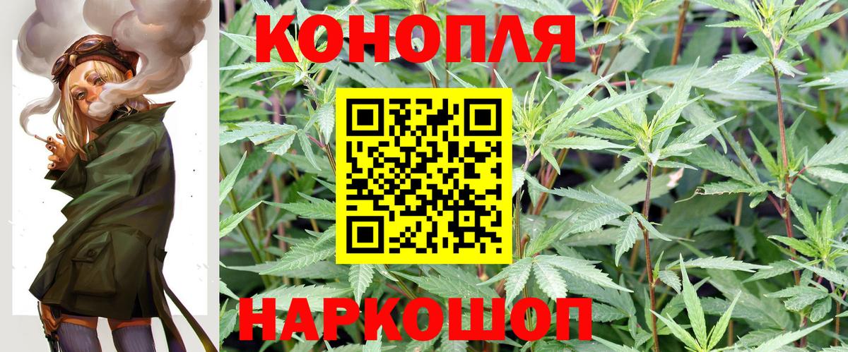 Бошки Шишки ГИДРОПОН  Дзержинский  МАРИХУАНА планчик  Шишки марихуана ГИДРОПОН 